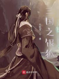 三国之银狐小说阅读