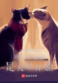 四合院之我是大厨开始小说阅读