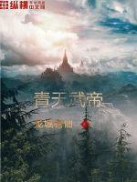 青天武帝小说阅读