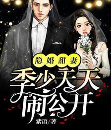 隐婚甜妻季少天天闹公开小说阅读