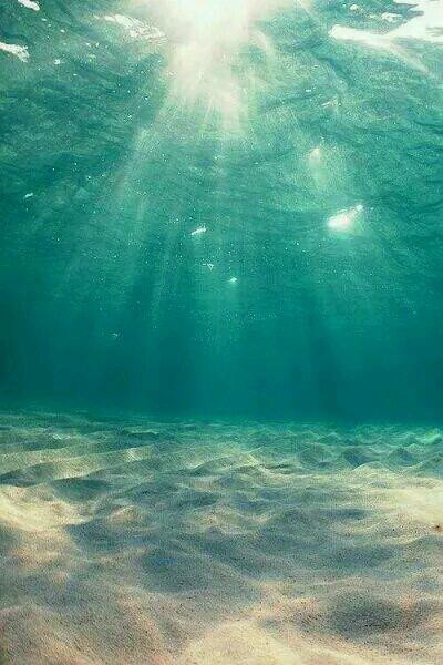 林希颜捡了个男模闪婚小说阅读