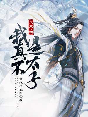 大宋：嘘，我真不是太子小说阅读