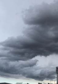 道门天才小说阅读