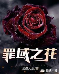 罪域之花小说阅读