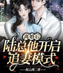 离婚后，陆总他开启追妻模式小说阅读