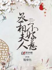 丞相夫人不好惹(姬辛允) - 丞相夫人不好惹全文在线阅读 - 丞相夫人不好惹最新章节 - 润准网