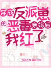 纪霄苏璃小说阅读