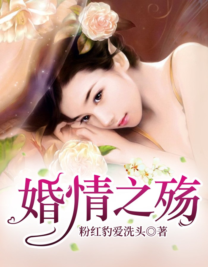 婚情之殇小说阅读