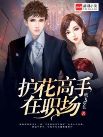护花高手在职场小说阅读
