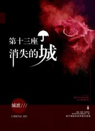 第十三座消失的城小说阅读