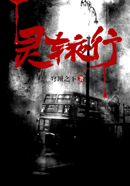 灵车夜行小说阅读