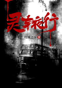 罗伊肖华小说阅读