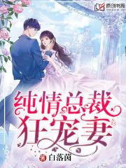 纯情先生狂宠妻(白落茵) - 纯情先生狂宠妻全文在线阅读 - 纯情先生狂宠妻最新章节 - 润准网