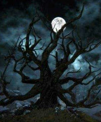 蛇形黑玉小说阅读