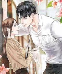 舒苒程璟安小说阅读