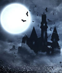 陈远苏月娥小说阅读