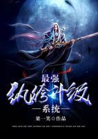 许流苏苏沐小说阅读