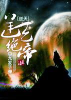 青姝铁狼小说阅读