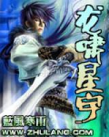 秦龙龙渊小说阅读