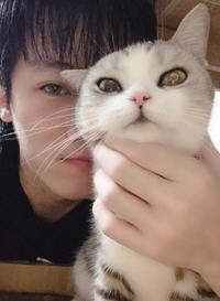 叶凌洛紫依小说阅读