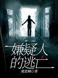 嫌疑人的逃亡小说阅读