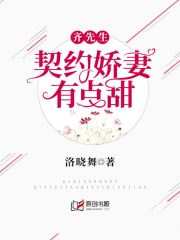 齐先生，契约娇妻有点甜(洛晓舞) - 齐先生，契约娇妻有点甜全文在线阅读 - 齐先生，契约娇妻有点甜最新章节 - 润准网