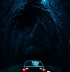 白金生司机小说小说阅读