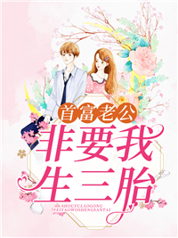 首富老公非要我生三胎(佚名) - 首富老公非要我生三胎全文在线阅读 - 首富老公非要我生三胎最新章节 - 润准网