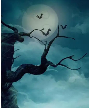 慕小乔江起云小说阅读