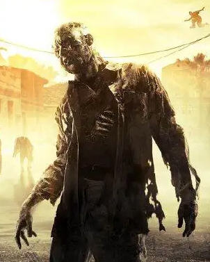 肖枫白芷小说阅读