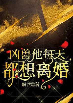 江无岐君承小说阅读