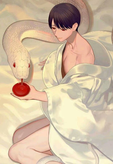 龙灵黑蛇玉佩小说阅读