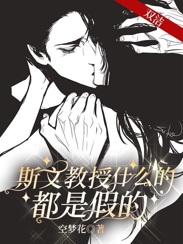 斯文教授什么的，都是假的小说阅读