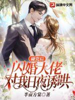 碰瓷后，闪婚大佬对我日夜诱哄(半亩方棠) - 碰瓷后，闪婚大佬对我日夜诱哄全文在线阅读 - 碰瓷后，闪婚大佬对我日夜诱哄最新章节 - 润准网