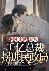 刚刚出狱，就被千亿总裁拐进民政局(不喜暖阳) - 刚刚出狱，就被千亿总裁拐进民政局全文在线阅读 - 刚刚出狱，就被千亿总裁拐进民政局最新章节 - 润准网