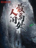 人间最高处小说阅读