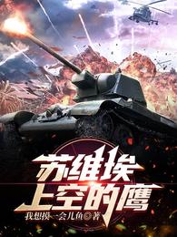 苏维埃上空的鹰小说阅读