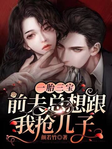 一胎三宝：前夫总想跟我抢儿子小说阅读