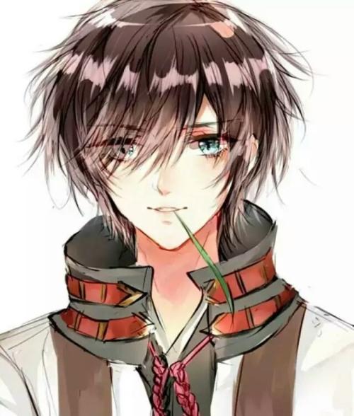 李辰安宁楚楚小说小说阅读