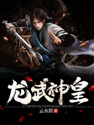 龙武神皇小说阅读