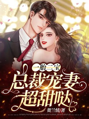 一胎二宝：总裁宠妻超甜哒小说阅读
